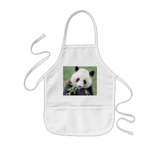 Apron Photo giant panda , animals 0085.