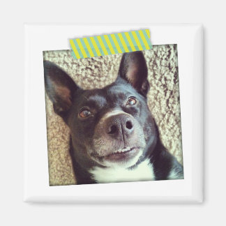 Aqua and Yellow Washi Tape Instagram Magnet