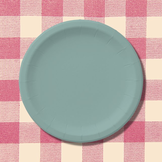 Aqua Blue Solid Color Paper Plate (Creator Uploaded)