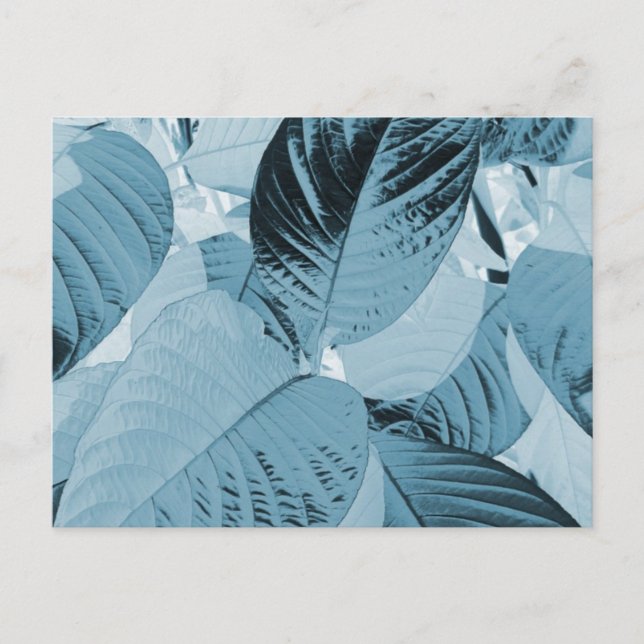 Aqua Botanical Leaves Post Card (Customizable) (Front)
