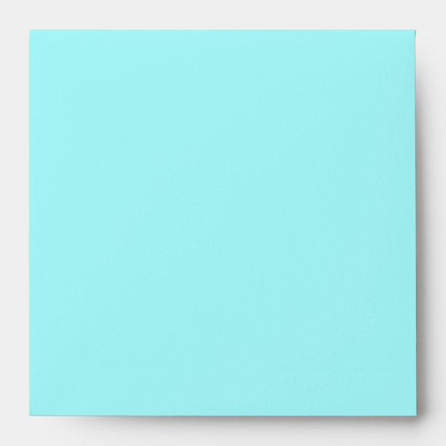 Aqua, Brown, Enveloppe en damas Floral Blanc (Devant)
