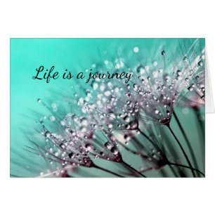 Aqua Cactus Bonsai Bloom Any Occasion Card