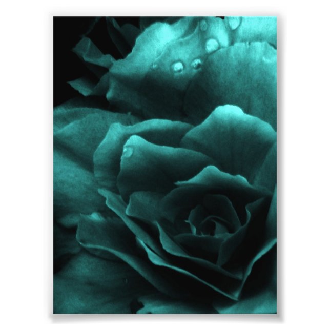 Aqua Close Up of a Double Begonia Photo Print (Front)