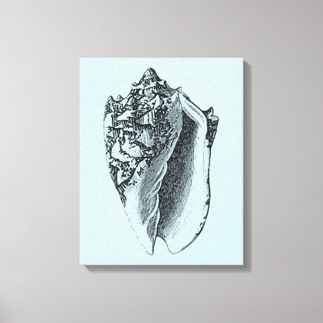 Aqua Conch Shell Canvas Print (Front)