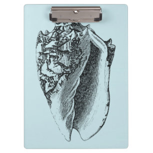 Aqua Conch Shell Clipboard
