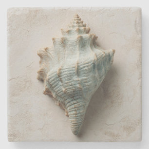 Aqua Conch Shell Coastal Art Stone Coaster