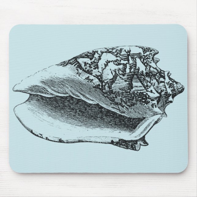 Aqua Conch Shell Mouse Pad (Front)