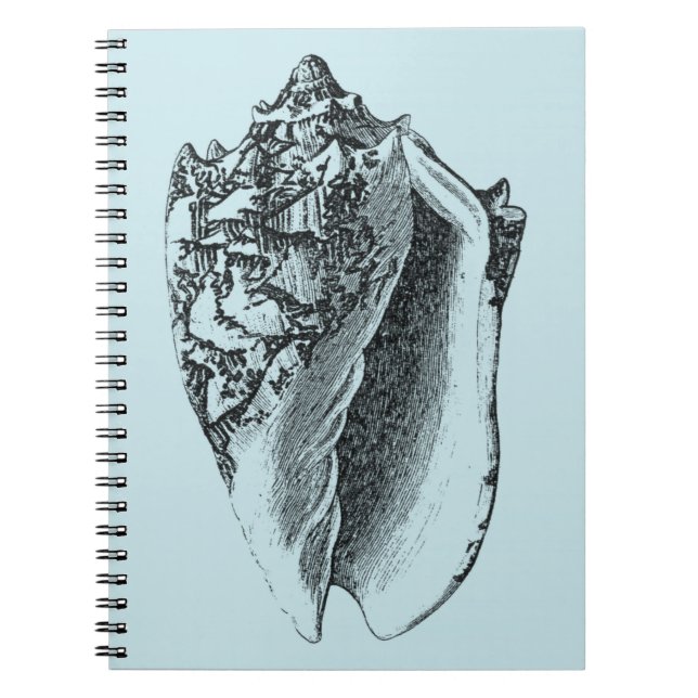 Aqua Conch Shell Notebook (Front)