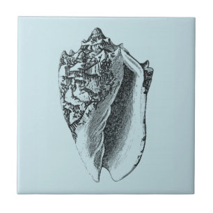 Aqua Conch Shell Tile