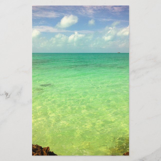 Aqua Green Ocean | Turks and Caicos Photo (Front)