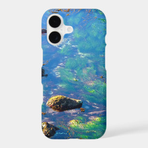 Aqua Monet - Une affaire MisterP