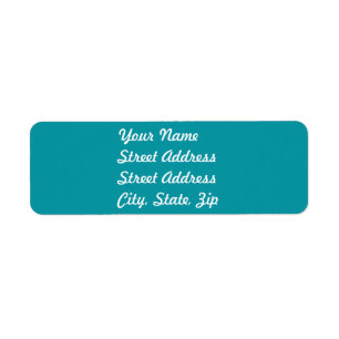 Aqua Return Address Sticker