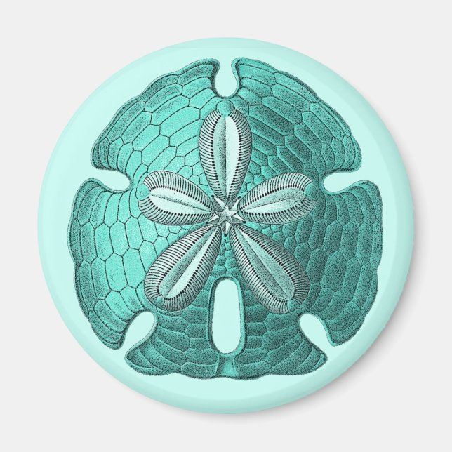 Aqua Sand Dollar Magnet (Front)