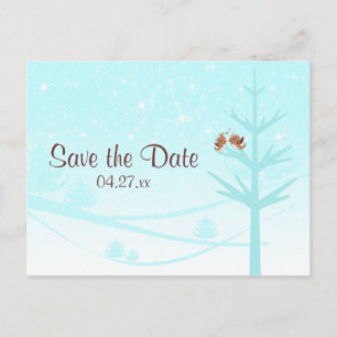 Aqua, Taupe, Brown Lovebirds Wedding Save the Date Announcement Postcard