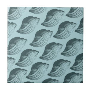 Aqua Teal Blue Sea Shells Tile