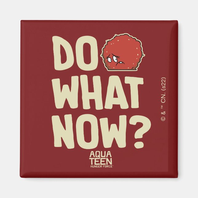 Aqua Teen Hunger Force Meatwad "Do What Now?" Magnet (Front)