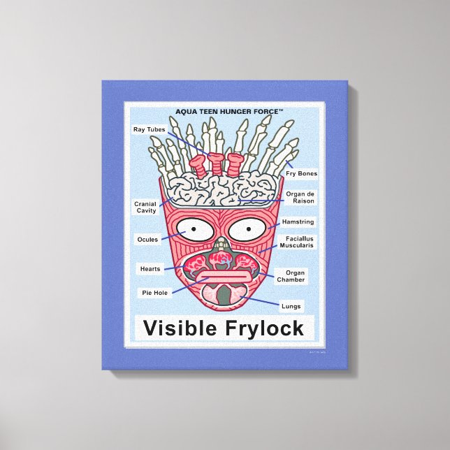 Aqua Teen Hunger Force Visible Frylock Poster Canvas Print (Front)