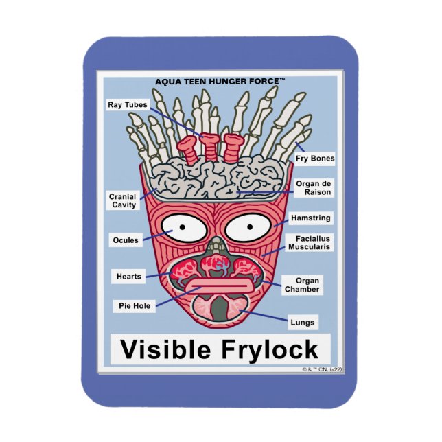 Aqua Teen Hunger Force Visible Frylock Poster Magnet (Vertical)