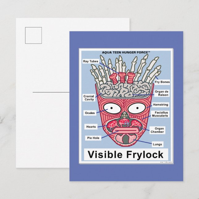 Aqua Teen Hunger Force Visible Frylock Poster Postcard (Front/Back)