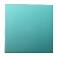 Aqua Turquoise Dipped Colour Ombre