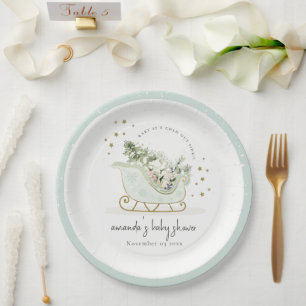 Aqua Winter Sleigh Its Cold Outside Baby Shower Paper Plate