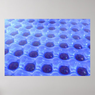 Aquafun Poster