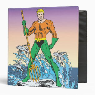 Aquaman Stands With Spear Binder