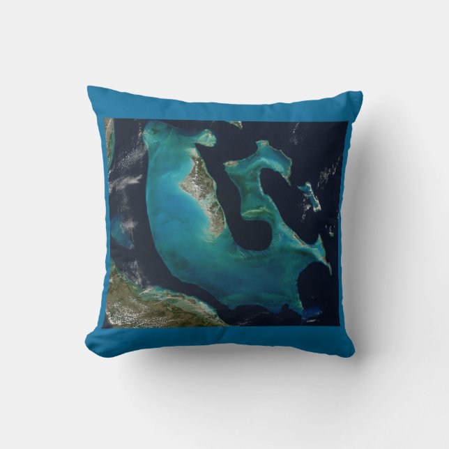 Aquamarine Abstract Bahamas Throw Pillow (Front)