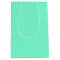 Aquamarine Medium Gift Bag