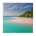 Aquamarine Ocean Tropical Beach Scenic Tile<br><div class="desc">Ceramic tile with a beautiful photograph. A scenic tropical beach with aquamarine water and a white sandy beach with a lush forest in the back.</div>