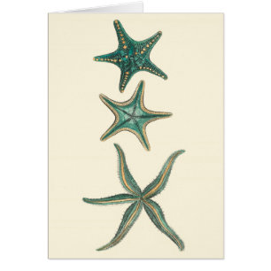 Aquamarine Triple Starfish