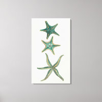 Aquamarine Triple Starfish