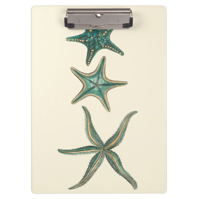 Aquamarine Triple Starfish Clipboard (Front)