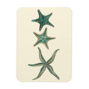 Aquamarine Triple Starfish Magnet