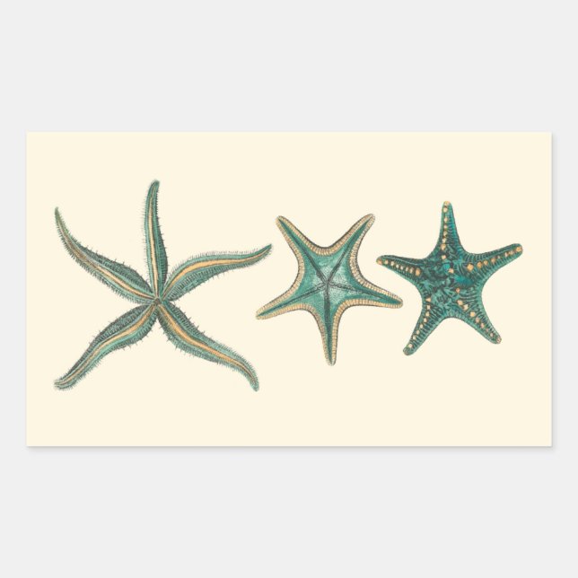 Aquamarine Triple Starfish Sticker (Front)