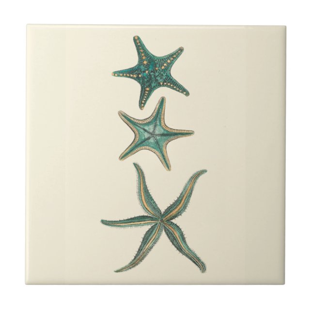 Aquamarine Triple Starfish Tile (Front)