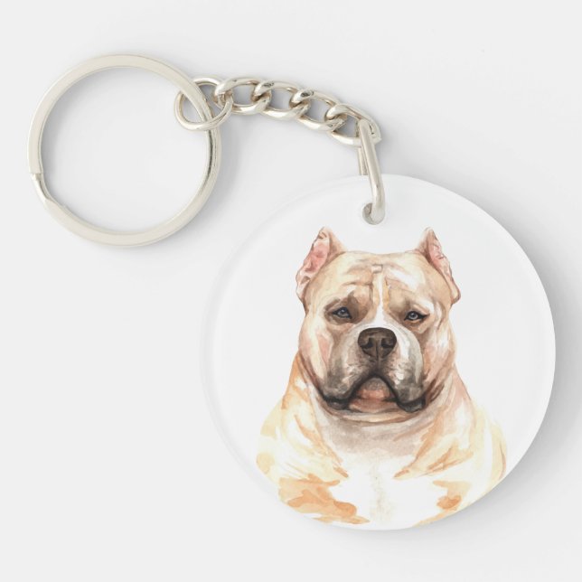 Aquarelle American Bully (Devant)
