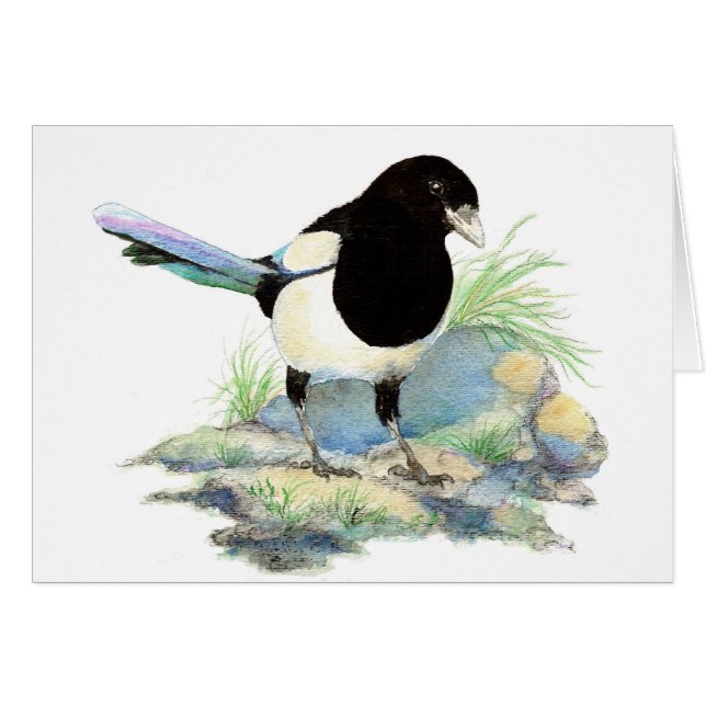 Aquarelle blanche Magpie Garden Bird (Devant horizontal)