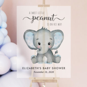Aquarelle bleu éléphant Bébé Garçon Douche givrée