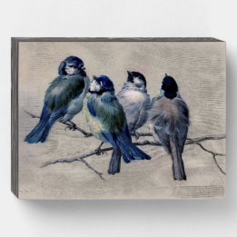 Aquarelle Bleu Gris Oiseaux sur un Vintage de bran