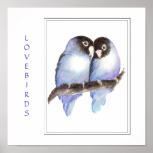 Aquarelle Bleu Lovebirds - Impression d'oiseaux