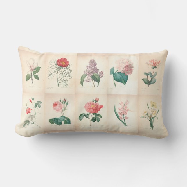 Aquarelle botanique vintage par Redoute - Coussin (Recto)