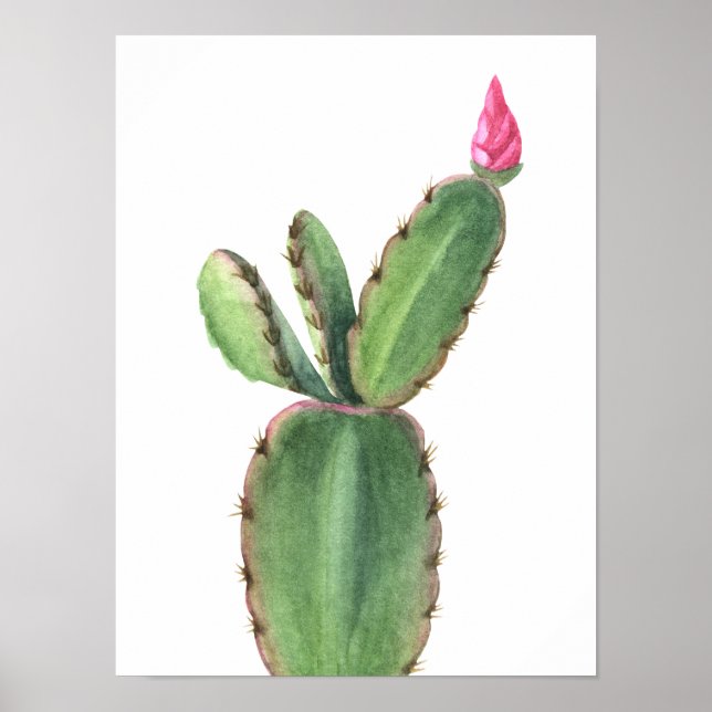 Aquarelle Cactus rose Fleur Poster (Devant)