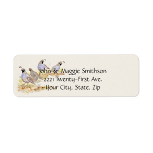 Aquarelle Californie Quail Bird Animal Nature Art