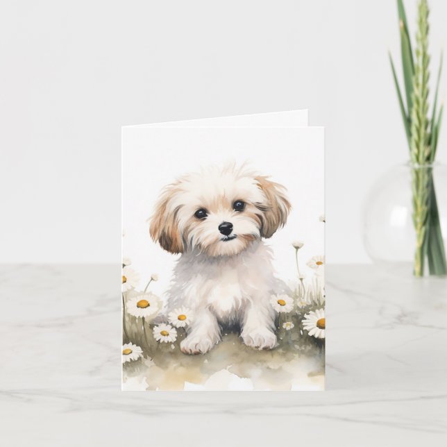 Aquarelle Chien Maltais Dans Les Marguerites (Devant)