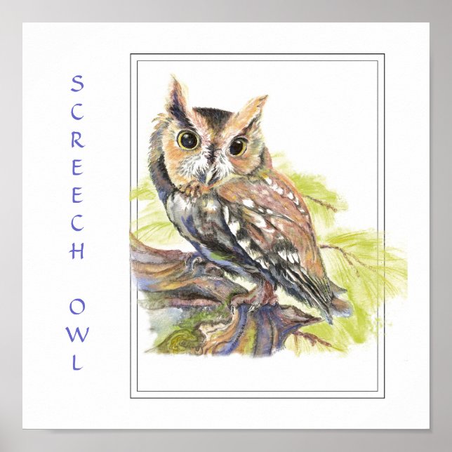 Aquarelle, Chouette, Impression d'oiseaux (Devant)