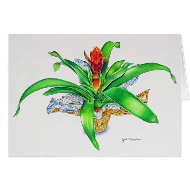 Aquarelle de Bromeliad (Devant horizontal)