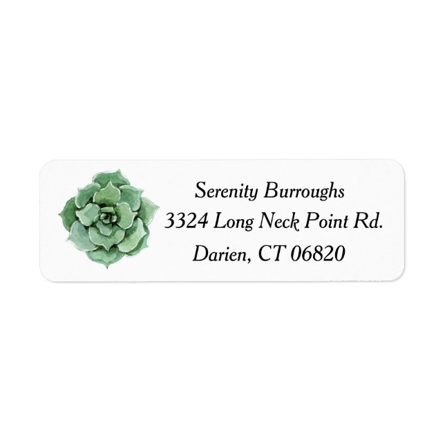 Aquarelle de cactus Succulent vert Mint Floral (Devant)