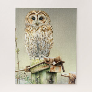 Aquarelle de hibou tawny et puzzle d'art gouache