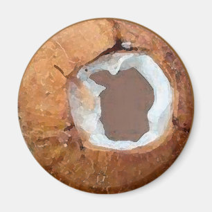 Aquarelle de noix de coco - aimant